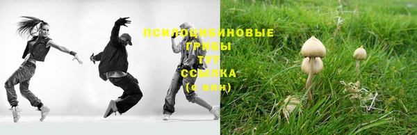 spice Балабаново