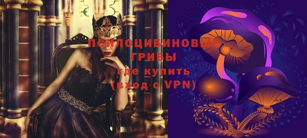 прущий лед Аркадак