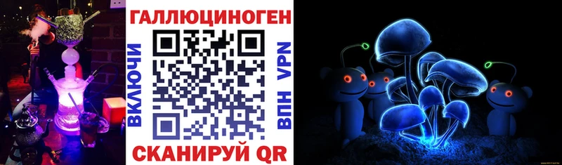 kraken tor  купить закладку  Салехард  Галлюциногенные грибы прущие грибы 