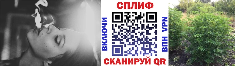 blacksprut как зайти  Салехард  Бошки марихуана Bruce Banner  где купить  